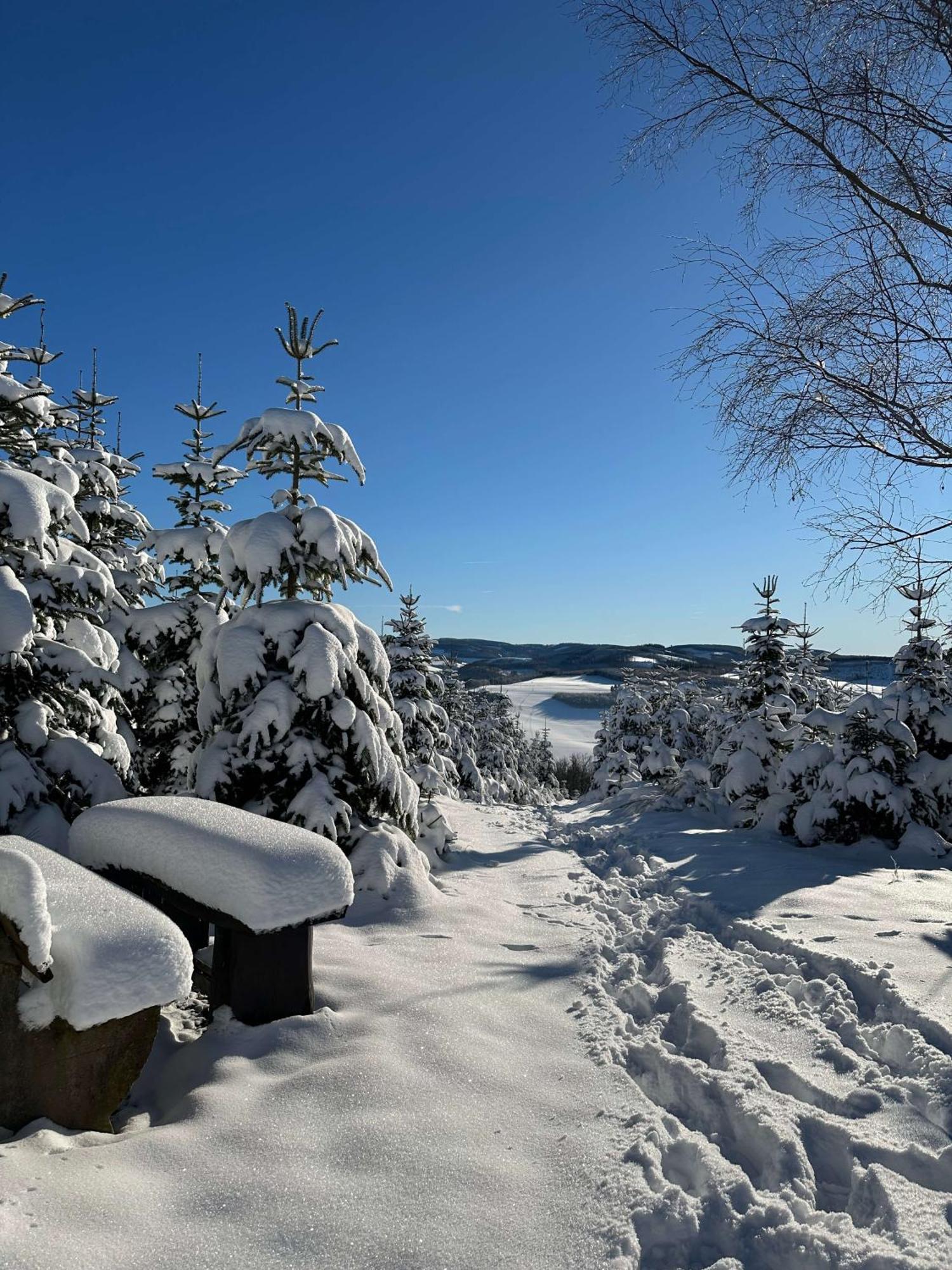 Landgasthof Reinert Reiste Buitenkant foto
