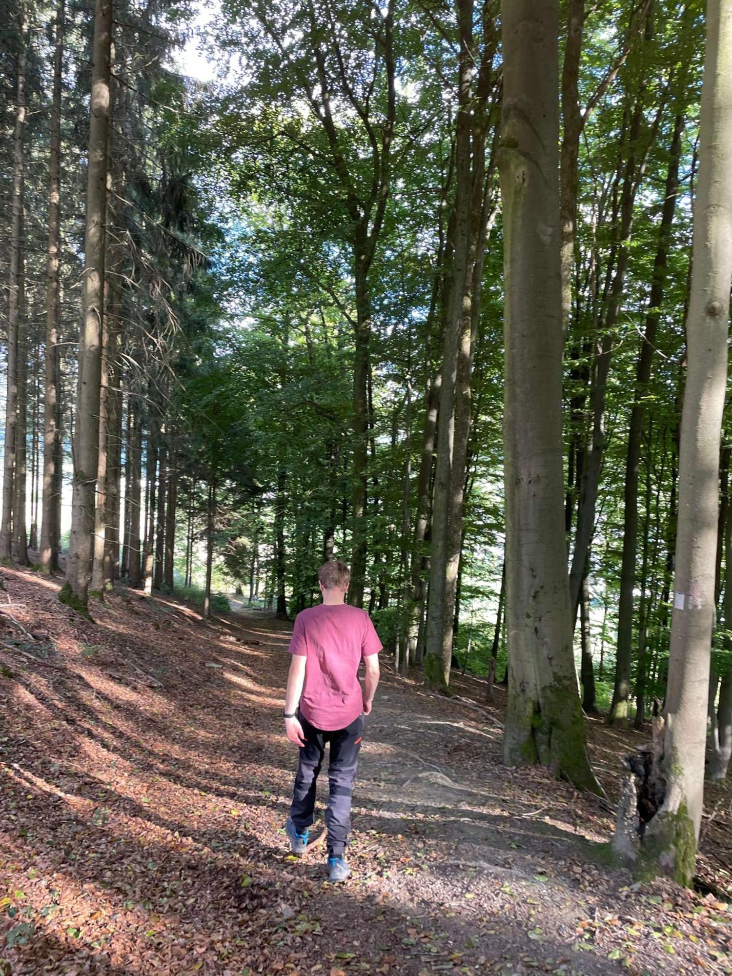 Landgasthof Reinert Reiste Buitenkant foto